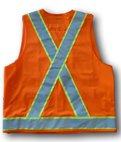 Back View of Vest